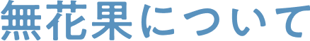 無花果について